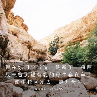 Picture 03 - 撒 母 耳 记 上 6:7 CUVS - 现 在 你 们 应 当 造 一 辆 新 车 ， - Bible Verse Picture