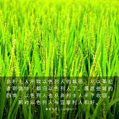 Picture 03 - 撒 母 耳 记 上 7:14 CUVS - 非 利 士 人 所 取 以 色 列 人 的 城 - Bible Verse Picture