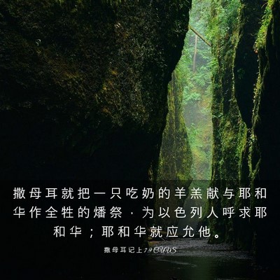 Picture 03 - 撒 母 耳 记 上 7:9 CUVS - 撒 母 耳 就 把 一 只 吃 奶 的 羊 羔 - Bible Verse Picture