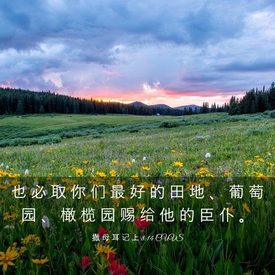 Picture 03 - 撒 母 耳 记 上 8:14 CUVS - 也 必 取 你 们 最 好 的 田 地 、 葡 - Bible Verse Picture