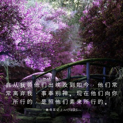 Picture 03 - 撒 母 耳 记 上 8:8 CUVS - 自 从 我 领 他 们 出 埃 及 到 如 今 - Bible Verse Picture