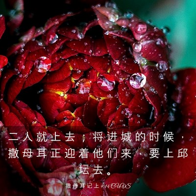 Picture 03 - 撒 母 耳 记 上 9:14 CUVS - 二 人 就 上 去 ； 将 进 城 的 时 候 - Bible Verse Picture