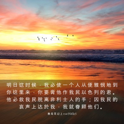 Picture 03 - 撒 母 耳 记 上 9:16 CUVS - 明 日 这 时 候 ， 我 必 使 一 个 人 - Bible Verse Picture