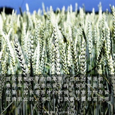 Picture 03 - 撒 母 耳 记 上 9:24 CUVS - 厨 役 就 把 收 存 的 腿 拿 来 ， 摆 - Bible Verse Picture