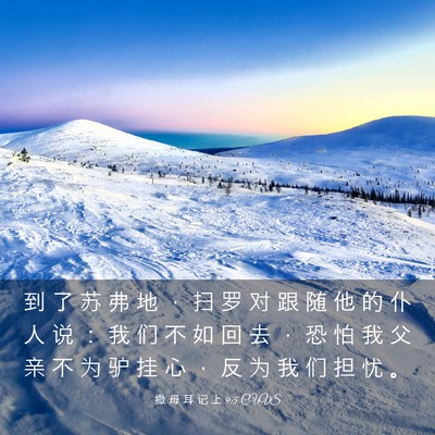 Picture 03 - 撒 母 耳 记 上 9:5 CUVS - 到 了 苏 弗 地 ， 扫 罗 对 跟 随 他 - Bible Verse Picture