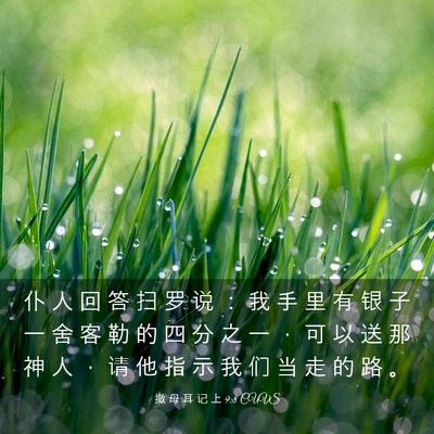 Picture 03 - 撒 母 耳 记 上 9:8 CUVS - 仆 人 回 答 扫 罗 说 ： 我 手 里 有 - Bible Verse Picture