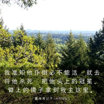Picture 03 - 撒 母 耳 记 下 1:10 CUVS - 我 准 知 他 仆 倒 必 不 能 活 ， 就 - Bible Verse Picture