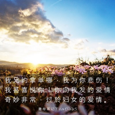 Picture 03 - 撒 母 耳 记 下 1:26 CUVS - 我 兄 约 拿 单 哪 ， 我 为 你 悲 伤 - Bible Verse Picture