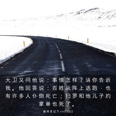 Picture 03 - 撒 母 耳 记 下 1:4 CUVS - 大 卫 又 问 他 说 ： 事 情 怎 样 ？ - Bible Verse Picture
