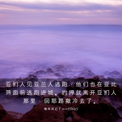 Picture 03 - 撒 母 耳 记 下 10:14 CUVS - 亚 扪 人 见 亚 兰 人 逃 跑 ， 他 们 - Bible Verse Picture