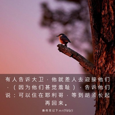 Picture 03 - 撒 母 耳 记 下 10:5 CUVS - 有 人 告 诉 大 卫 ， 他 就 差 人 去 - Bible Verse Picture