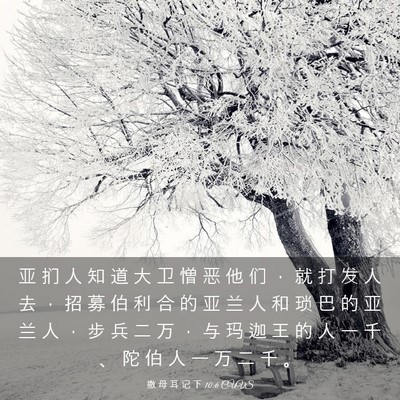 Picture 03 - 撒 母 耳 记 下 10:6 CUVS - 亚 扪 人 知 道 大 卫 憎 恶 他 们 ， - Bible Verse Picture