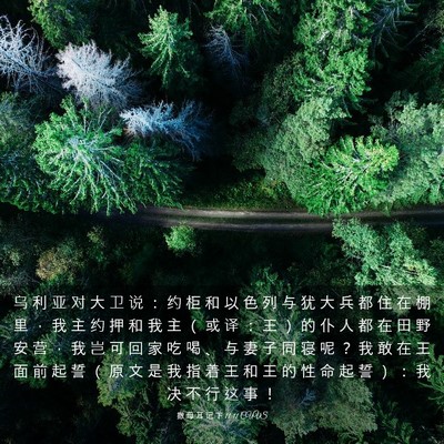 Picture 03 - 撒 母 耳 记 下 11:11 CUVS - 乌 利 亚 对 大 卫 说 ： 约 柜 和 以 - Bible Verse Picture