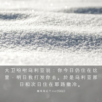 Picture 03 - 撒 母 耳 记 下 11:12 CUVS - 大 卫 吩 咐 乌 利 亚 说 ： 你 今 日 - Bible Verse Picture
