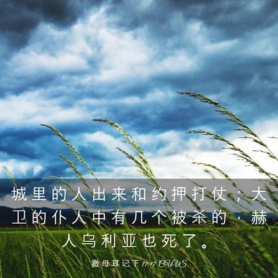 Picture 03 - 撒 母 耳 记 下 11:17 CUVS - 城 里 的 人 出 来 和 约 押 打 仗 ； - Bible Verse Picture