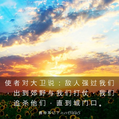 Picture 03 - 撒 母 耳 记 下 11:23 CUVS - 使 者 对 大 卫 说 ： 敌 人 强 过 我 - Bible Verse Picture