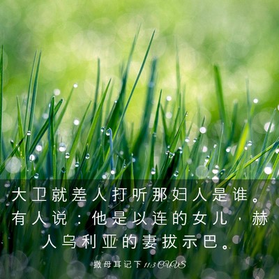 Picture 03 - 撒 母 耳 记 下 11:3 CUVS - 大 卫 就 差 人 打 听 那 妇 人 是 谁 - Bible Verse Picture