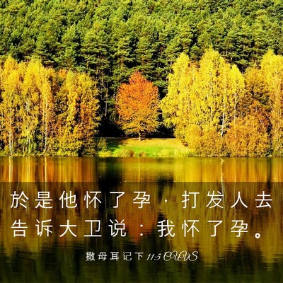 Picture 03 - 撒 母 耳 记 下 11:5 CUVS - 於 是 他 怀 了 孕 ， 打 发 人 去 告 - Bible Verse Picture