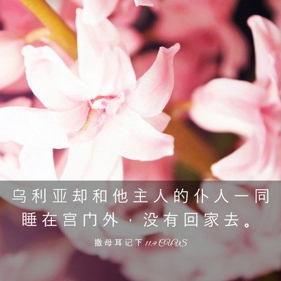 Picture 03 - 撒 母 耳 记 下 11:9 CUVS - 乌 利 亚 却 和 他 主 人 的 仆 人 一 - Bible Verse Picture