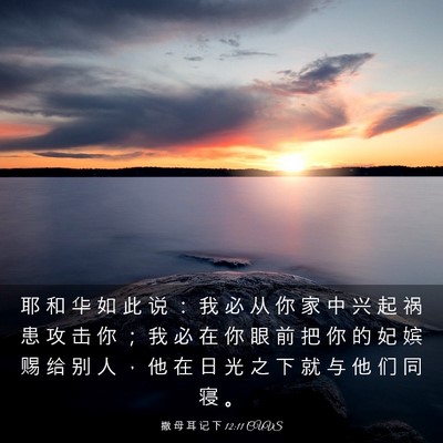 Picture 03 - 撒 母 耳 记 下 12:11 CUVS - 耶 和 华 如 此 说 ： 我 必 从 你 家 - Bible Verse Picture