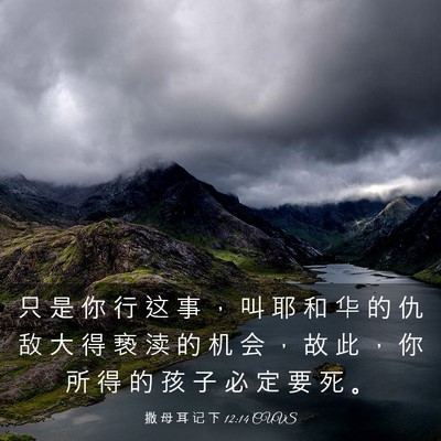 Picture 03 - 撒 母 耳 记 下 12:14 CUVS - 只 是 你 行 这 事 ， 叫 耶 和 华 的 - Bible Verse Picture
