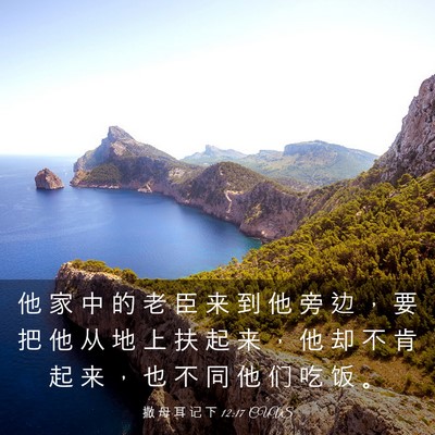 Picture 03 - 撒 母 耳 记 下 12:17 CUVS - 他 家 中 的 老 臣 来 到 他 旁 边 ， - Bible Verse Picture