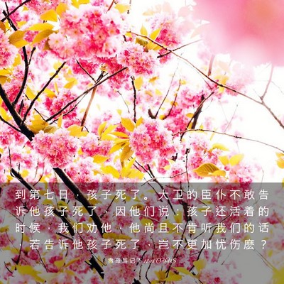 Picture 03 - 撒 母 耳 记 下 12:18 CUVS - 到 第 七 日 ， 孩 子 死 了 。 大 卫 - Bible Verse Picture