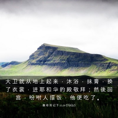 Picture 03 - 撒 母 耳 记 下 12:20 CUVS - 大 卫 就 从 地 上 起 来 ， 沐 浴 ， - Bible Verse Picture