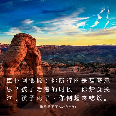 Picture 03 - 撒 母 耳 记 下 12:21 CUVS - 臣 仆 问 他 说 ： 你 所 行 的 是 甚 - Bible Verse Picture