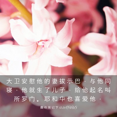 Picture 03 - 撒 母 耳 记 下 12:24 CUVS - 大 卫 安 慰 他 的 妻 拔 示 巴 ， 与 - Bible Verse Picture