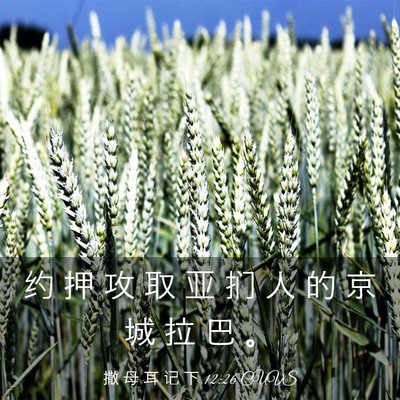 Picture 03 - 撒 母 耳 记 下 12:26 CUVS - 约 押 攻 取 亚 扪 人 的 京 城 拉 巴 - Bible Verse Picture