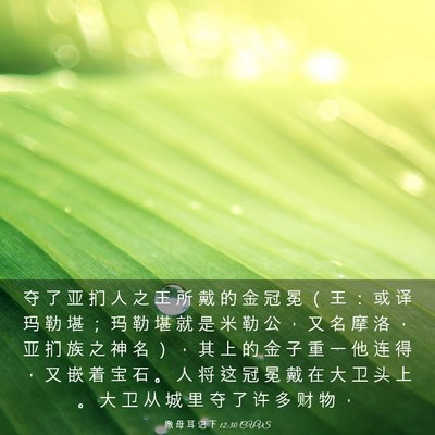 Picture 03 - 撒 母 耳 记 下 12:30 CUVS - 夺 了 亚 扪 人 之 王 所 戴 的 金 冠 - Bible Verse Picture