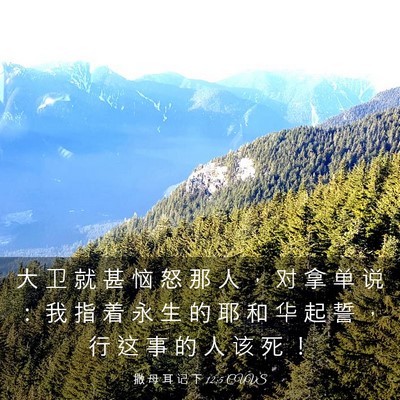 Picture 03 - 撒 母 耳 记 下 12:5 CUVS - 大 卫 就 甚 恼 怒 那 人 ， 对 拿 单 - Bible Verse Picture