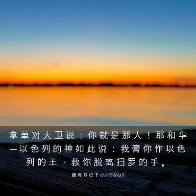 Picture 03 - 撒 母 耳 记 下 12:7 CUVS - 拿 单 对 大 卫 说 ： 你 就 是 那 人 - Bible Verse Picture