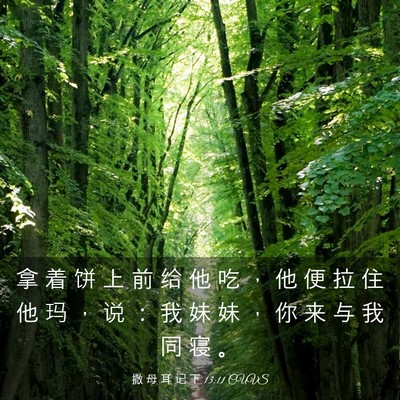 Picture 03 - 撒 母 耳 记 下 13:11 CUVS - 拿 着 饼 上 前 给 他 吃 ， 他 便 拉 - Bible Verse Picture