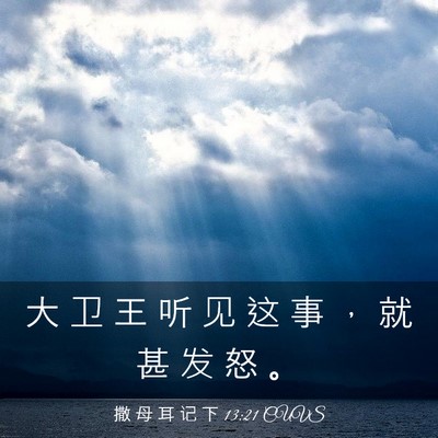 Picture 03 - 撒 母 耳 记 下 13:21 CUVS - 大 卫 王 听 见 这 事 ， 就 甚 发 怒 - Bible Verse Picture