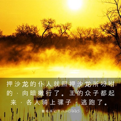 Picture 03 - 撒 母 耳 记 下 13:29 CUVS - 押 沙 龙 的 仆 人 就 照 押 沙 龙 所 - Bible Verse Picture