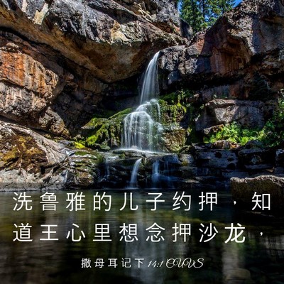 Picture 03 - 撒 母 耳 记 下 14:1 CUVS - 洗 鲁 雅 的 儿 子 约 押 ， 知 道 王 - Bible Verse Picture