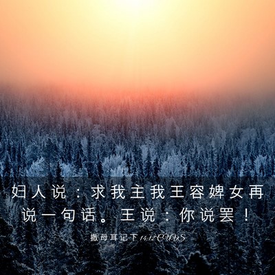 Picture 03 - 撒 母 耳 记 下 14:12 CUVS - 妇 人 说 ： 求 我 主 我 王 容 婢 女 - Bible Verse Picture