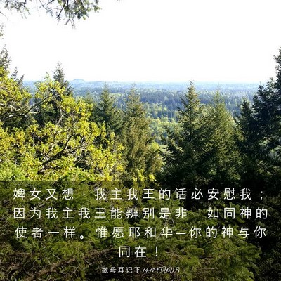 Picture 03 - 撒 母 耳 记 下 14:17 CUVS - 婢 女 又 想 ， 我 主 我 王 的 话 必 - Bible Verse Picture
