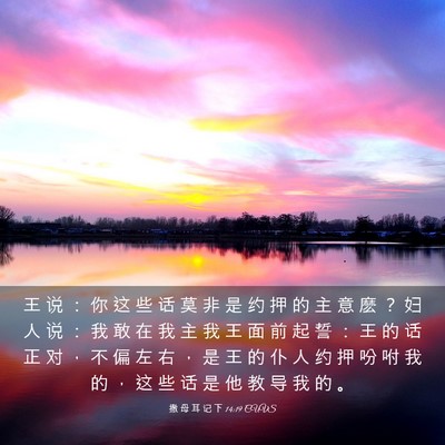 Picture 03 - 撒 母 耳 记 下 14:19 CUVS - 王 说 ： 你 这 些 话 莫 非 是 约 押 - Bible Verse Picture