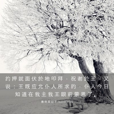 Picture 03 - 撒 母 耳 记 下 14:22 CUVS - 约 押 就 面 伏 於 地 叩 拜 ， 祝 谢 - Bible Verse Picture