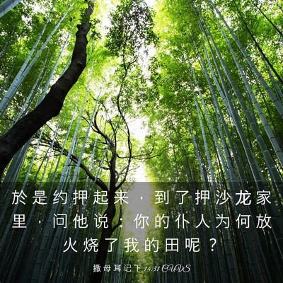 Picture 03 - 撒 母 耳 记 下 14:31 CUVS - 於 是 约 押 起 来 ， 到 了 押 沙 龙 - Bible Verse Picture