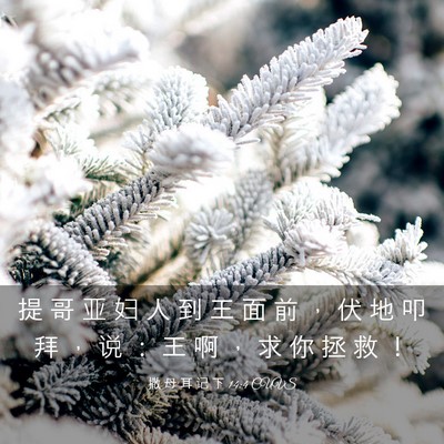 Picture 03 - 撒 母 耳 记 下 14:4 CUVS - 提 哥 亚 妇 人 到 王 面 前 ， 伏 地 - Bible Verse Picture