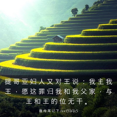 Picture 03 - 撒 母 耳 记 下 14:9 CUVS - 提 哥 亚 妇 人 又 对 王 说 ： 我 主 - Bible Verse Picture