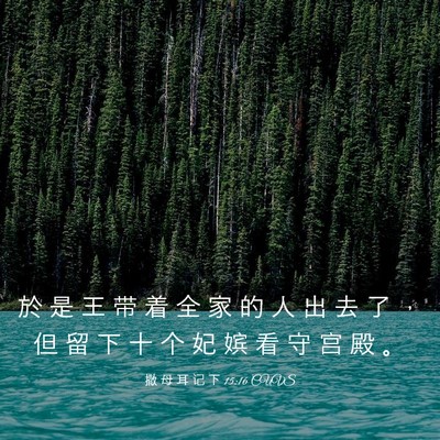 Picture 03 - 撒 母 耳 记 下 15:16 CUVS - 於 是 王 带 着 全 家 的 人 出 去 了 - Bible Verse Picture