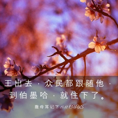 Picture 03 - 撒 母 耳 记 下 15:17 CUVS - 王 出 去 ， 众 民 都 跟 随 他 ， 到 - Bible Verse Picture