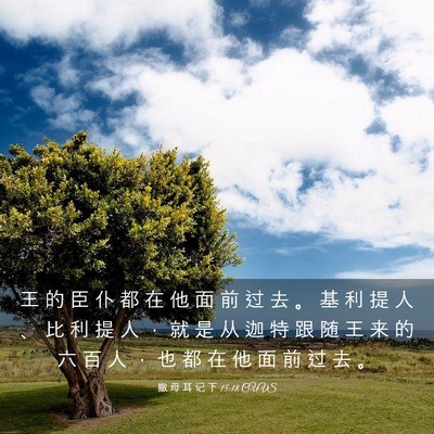 Picture 03 - 撒 母 耳 记 下 15:18 CUVS - 王 的 臣 仆 都 在 他 面 前 过 去 。 - Bible Verse Picture