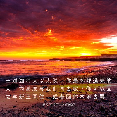 Picture 03 - 撒 母 耳 记 下 15:19 CUVS - 王 对 迦 特 人 以 太 说 ： 你 是 外 - Bible Verse Picture