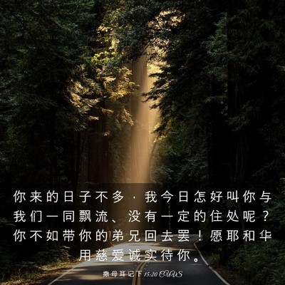 Picture 03 - 撒 母 耳 记 下 15:20 CUVS - 你 来 的 日 子 不 多 ， 我 今 日 怎 - Bible Verse Picture